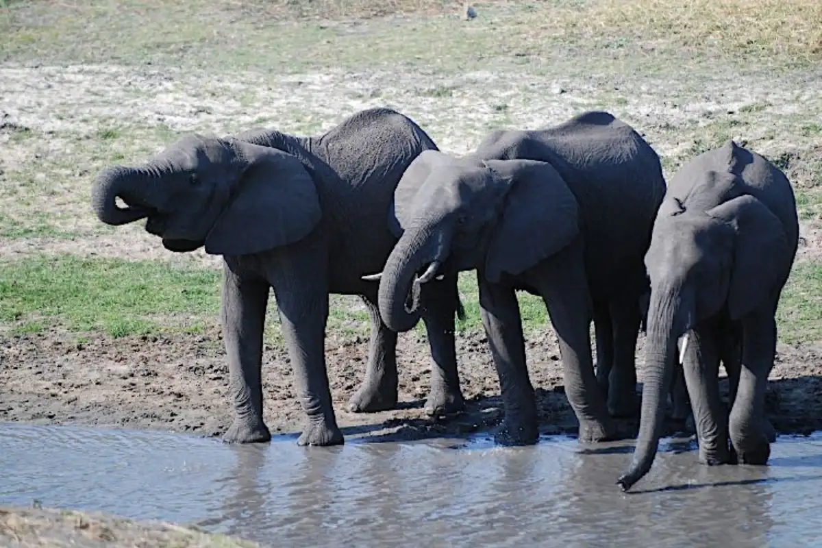 5 days 4 nights Katavi National Park